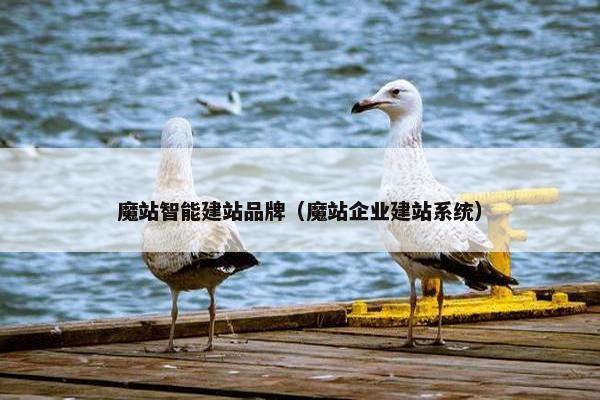 魔站智能建站品牌（魔站企业建站系统）