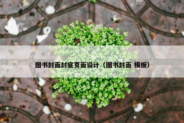图书封面封底页面设计（图书封面 模板）