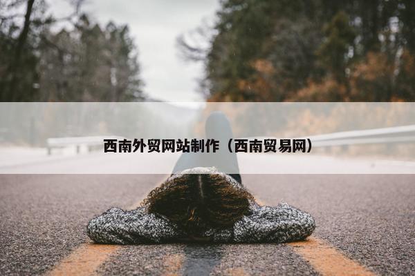 西南外贸网站制作（西南贸易网）