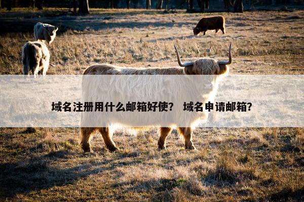 域名注册用什么邮箱好使？ 域名申请邮箱？