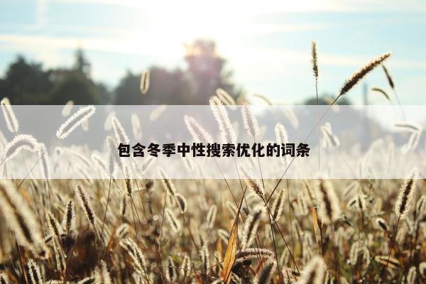 包含冬季中性搜索优化的词条