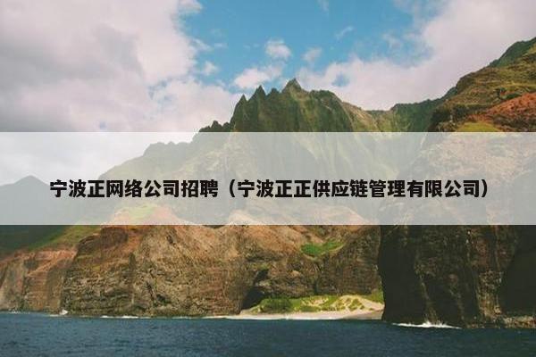 宁波正网络公司招聘（宁波正正供应链管理有限公司）