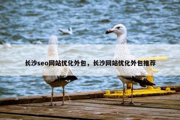 长沙seo网站优化外包，长沙网站优化外包推荐