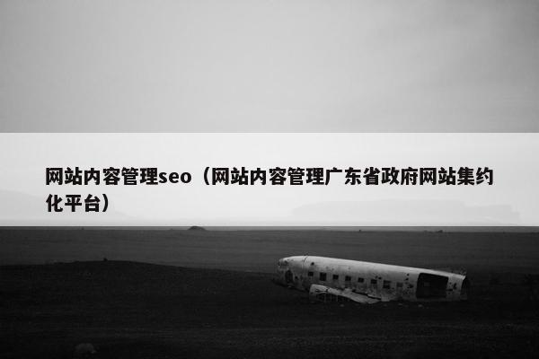 网站内容管理seo（网站内容管理广东省政府网站集约化平台）