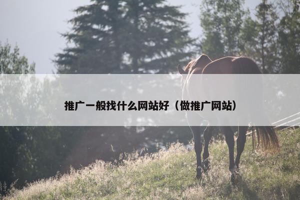 推广一般找什么网站好（做推广网站）