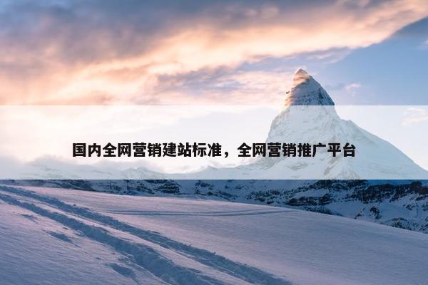国内全网营销建站标准，全网营销推广平台