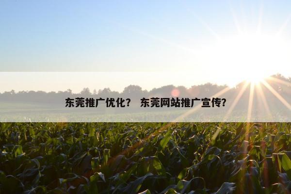 东莞推广优化？ 东莞网站推广宣传？