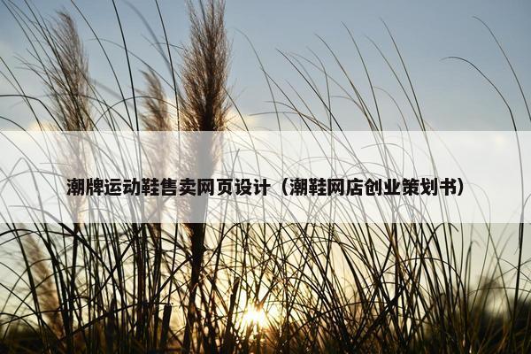 潮牌运动鞋售卖网页设计（潮鞋网店创业策划书）