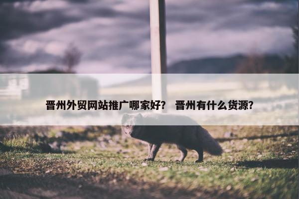 晋州外贸网站推广哪家好？ 晋州有什么货源？