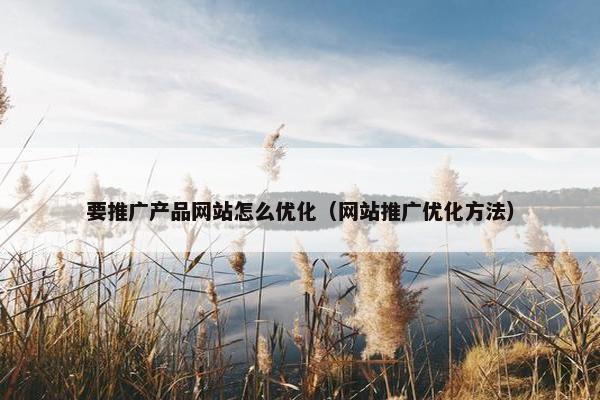 要推广产品网站怎么优化（网站推广优化方法）