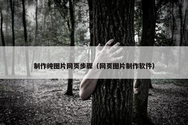 制作纯图片网页步骤（网页图片制作软件）