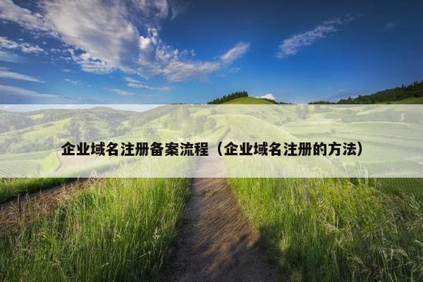 企业域名注册备案流程（企业域名注册的方法）