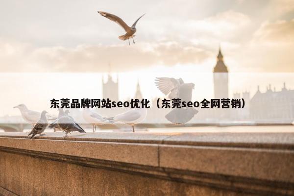 东莞品牌网站seo优化（东莞seo全网营销）