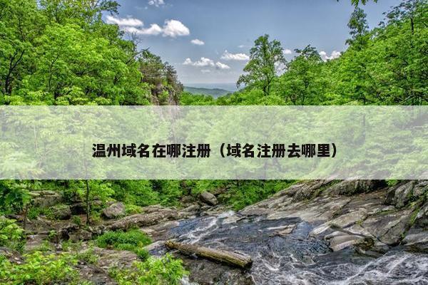温州域名在哪注册（域名注册去哪里）