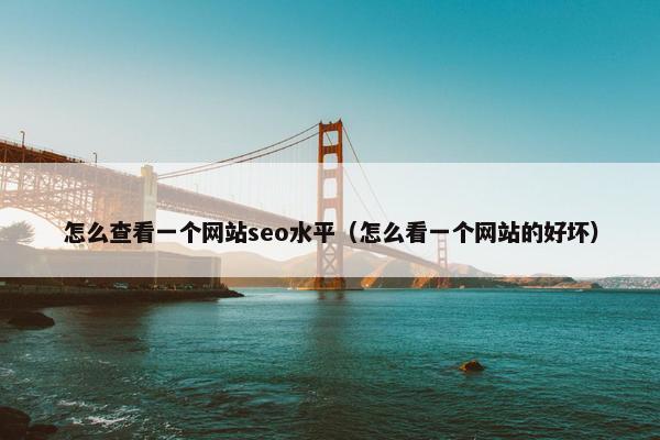 怎么查看一个网站seo水平（怎么看一个网站的好坏）
