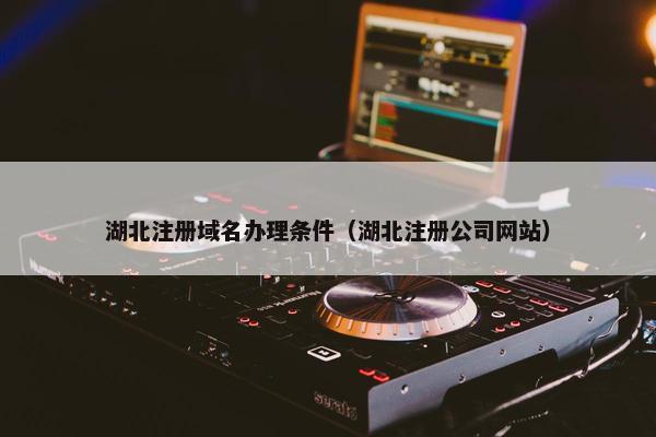 湖北注册域名办理条件（湖北注册公司网站）