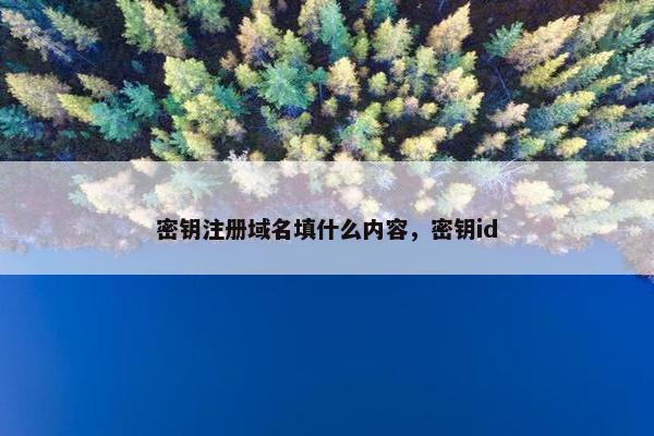 密钥注册域名填什么内容，密钥id