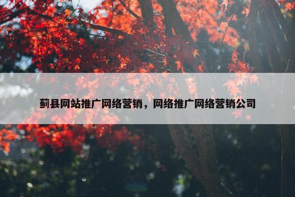 蓟县网站推广网络营销，网络推广网络营销公司