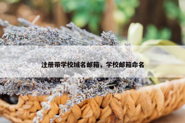注册带学校域名邮箱，学校邮箱命名
