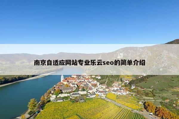 南京自适应网站专业乐云seo的简单介绍