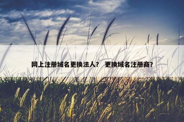 网上注册域名更换法人？ 更换域名注册商？