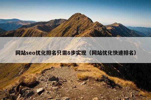 网站seo优化排名只需8步实现（网站优化快速排名）