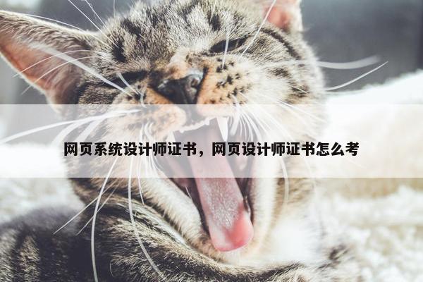 网页系统设计师证书，网页设计师证书怎么考