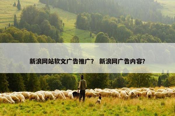 新浪网站软文广告推广？ 新浪网广告内容？