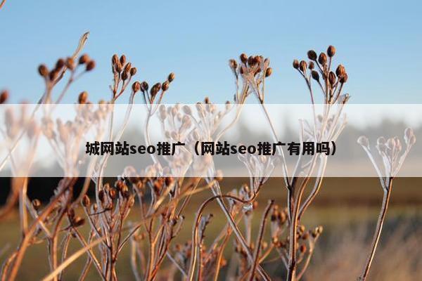 城网站seo推广（网站seo推广有用吗）