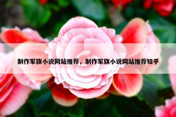 制作军旗小说网站推荐，制作军旗小说网站推荐知乎