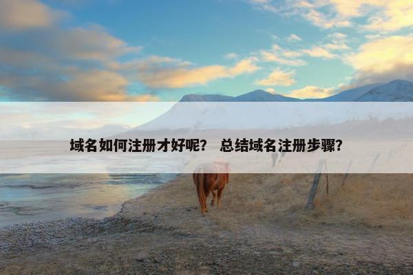 域名如何注册才好呢？ 总结域名注册步骤？