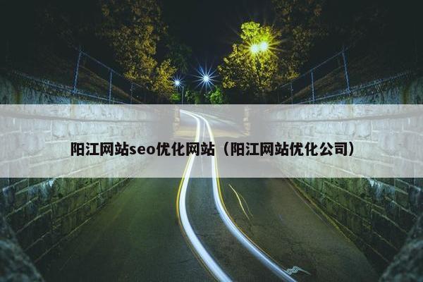 阳江网站seo优化网站（阳江网站优化公司）
