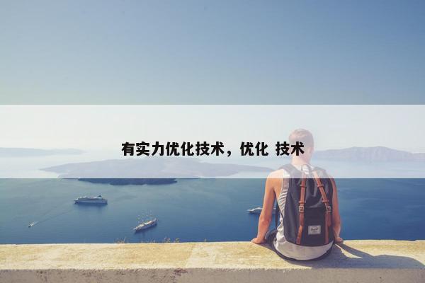 有实力优化技术，优化 技术