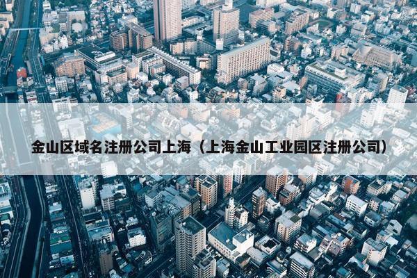 金山区域名注册公司上海（上海金山工业园区注册公司）