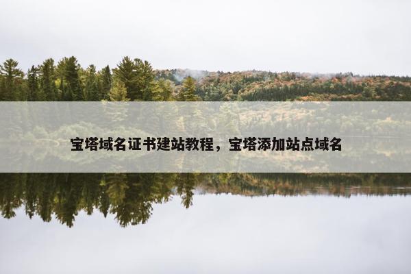 宝塔域名证书建站教程，宝塔添加站点域名