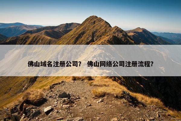 佛山域名注册公司？ 佛山网络公司注册流程？