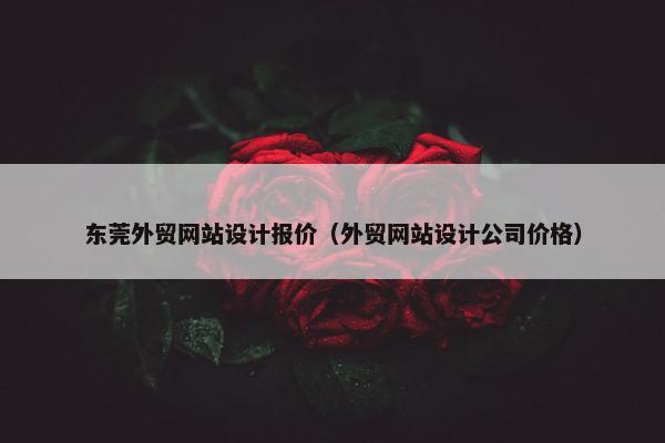 东莞外贸网站设计报价（外贸网站设计公司价格）