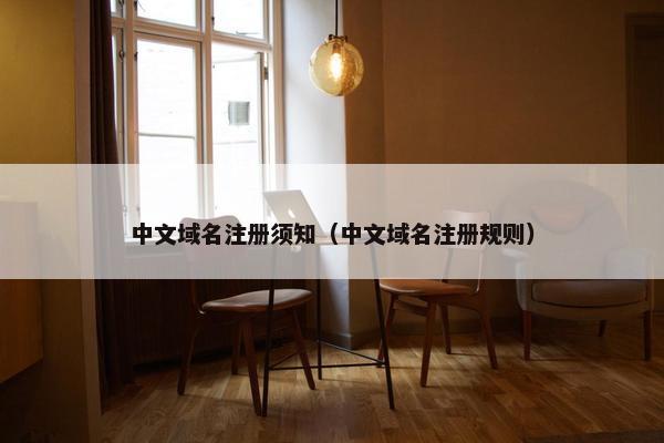 中文域名注册须知（中文域名注册规则）