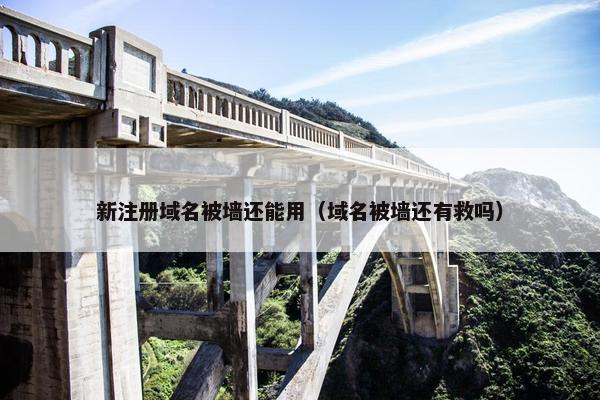 新注册域名被墙还能用（域名被墙还有救吗）