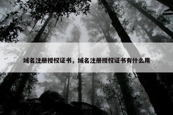 域名注册授权证书，域名注册授权证书有什么用