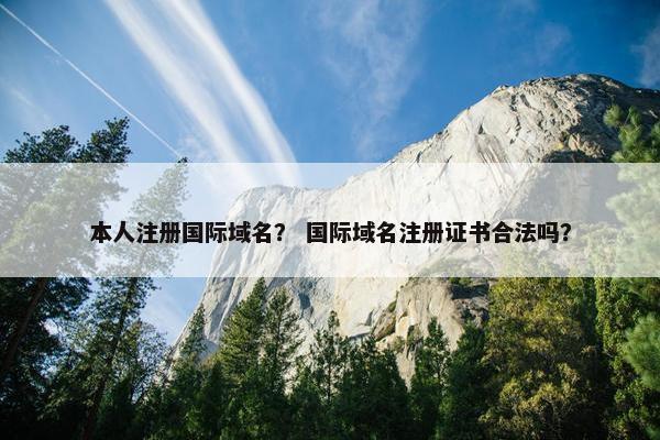 本人注册国际域名？ 国际域名注册证书合法吗？