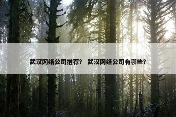 武汉网络公司推荐？ 武汉网络公司有哪些？