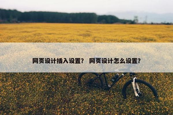网页设计插入设置？ 网页设计怎么设置？