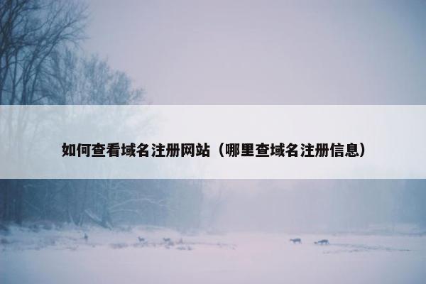 如何查看域名注册网站（哪里查域名注册信息）