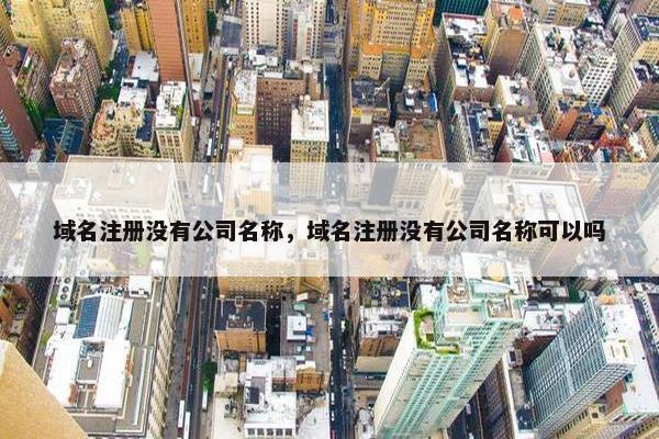 域名注册没有公司名称，域名注册没有公司名称可以吗