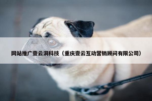 网站推广壹云洞科技（重庆壹云互动营销顾问有限公司）