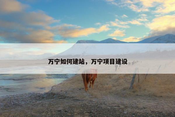 万宁如何建站，万宁项目建设