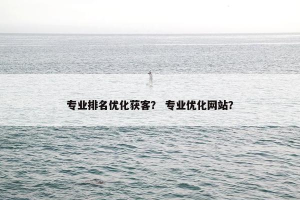专业排名优化获客？ 专业优化网站？