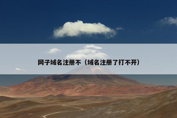网子域名注册不（域名注册了打不开）