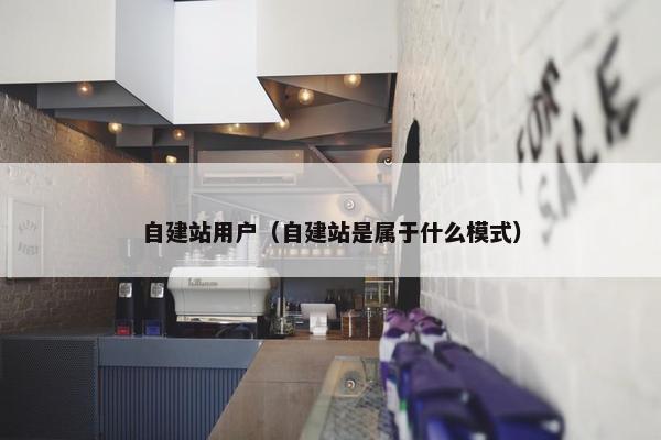 自建站用户（自建站是属于什么模式）